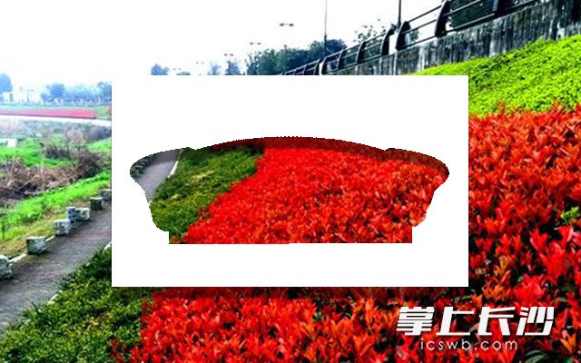 剪影：贺龙体育中心  背景：浏阳河风光带