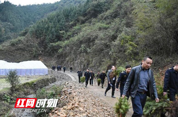 新田城管：义务植树 绿化荒山