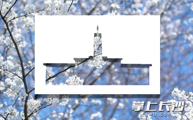 剪影：长沙火车站  背景：省植物园樱花