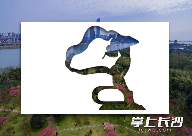 剪影：芙蓉广场雕塑《浏阳河》 背景：橘子洲