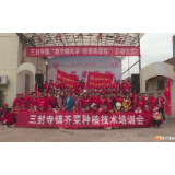 三封寺镇：最美庭院有标杆，“撩干”姑娘都向往