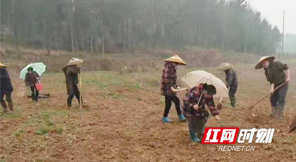 邵阳县罗城乡保和村打造 “三金”村民助脱贫