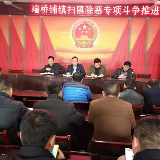 东安：张一波深入端桥铺镇召开扫黑除恶专项斗争推进会