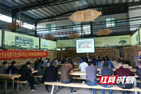 0e396132-9bfc-4a95-b0d3-0e8e1ff57eee.marked.jpg