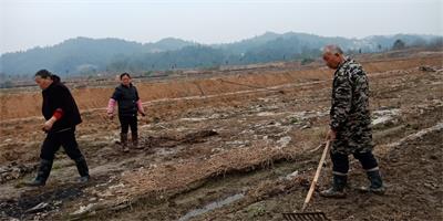 龙虾基地进行除杂、消毒.jpg