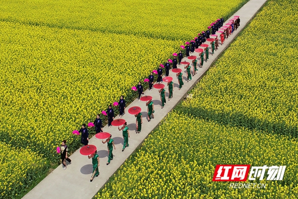 又到春花烂漫时。