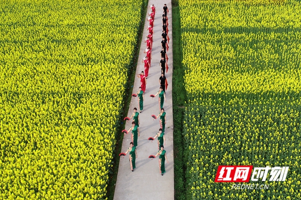 引来了多支旗袍爱好者队伍在花丛中踏青、赏花、走秀。