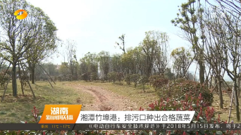 【湖南新闻联播】守护好一江碧水：湘江流域水质达标率97.2%