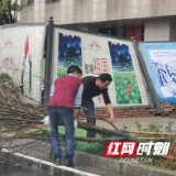 “网格”加网络 社区管理模式有跨越