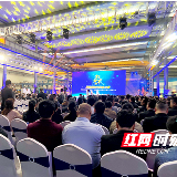 看“魅力金霞”打造营商环境金名片