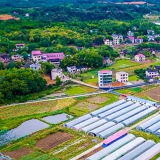 乡村振兴︱土专家、田秀才只管干，十百万资金资助不在话下