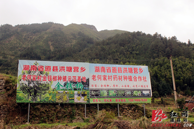 道县：农村发展新景象 山青水绿乡村美