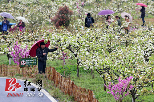 微信图片_20190323153607副本.jpg