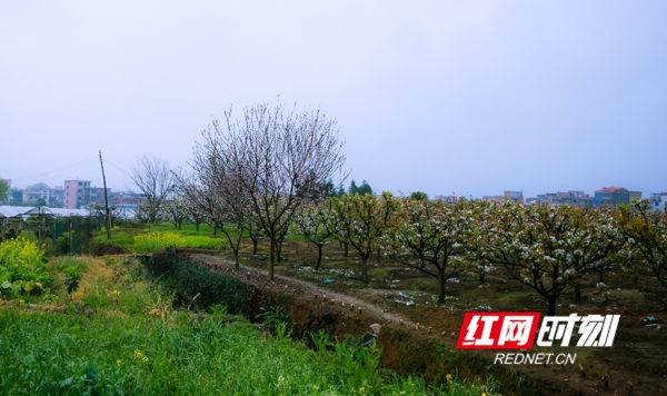 　　在蓝山县塔峰镇流沙河畔漫步闲游。