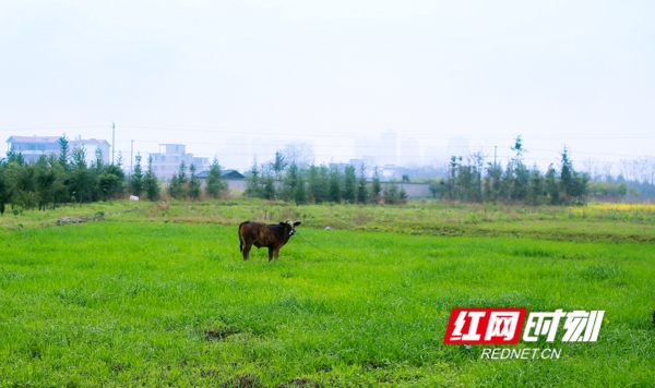 　　濛濛细雨中的湘南边陲