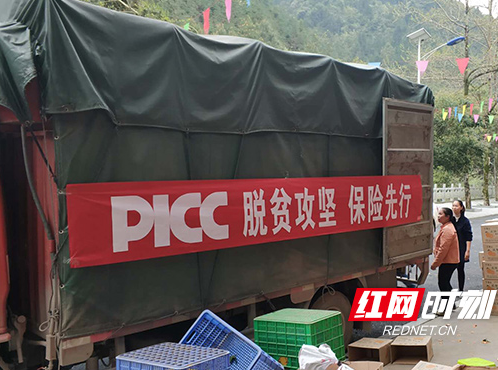 人保财险湖南省分公司扶贫橘专车解果农燃眉之急