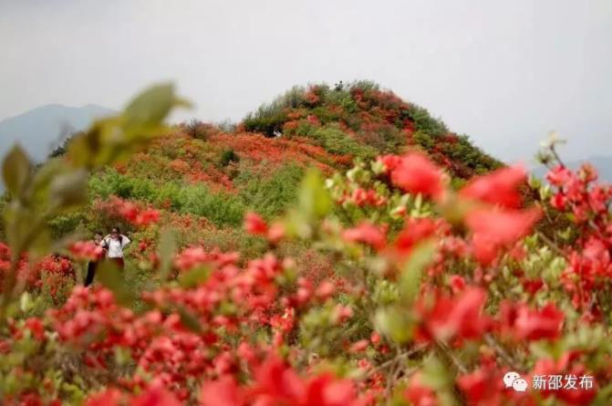 据了解，近年来，十重大界山以山奇花艳、人文景观丰富成为了新邵县乡村旅游的一个新亮点。十重大界山海拔超千米，由西而东绵延数十公里，横亘于新邵、新化和隆回之间，蔚为壮观。来此徒步旅游，可以看到十重大界的野生杜鹃花、小溪水库、梯田等，还可以探寻风打庙、瑶寨遗址、葛公洞等人文景观。该地为宋代梅山蛮的核心区之一，千年古战场遗址，宋将石曦曾平蛮于此。更有学者考证，此地疑为蚩尤部落三大集中居住地之一，现存有古老的城墙遗迹、供人们祭祀的石蛙、历经沧桑的石鼓等。