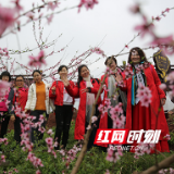 洛夫故里桃花红 衡南县相市第二届桃花节开幕