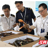 开放崛起新征程①｜长沙：依托蓝天走出对外贸易新通道