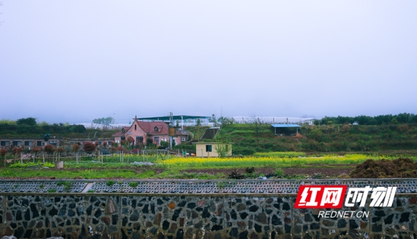 蓝山：烟雨山乡如画卷