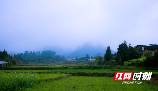 蓝山：烟雨山乡如画卷