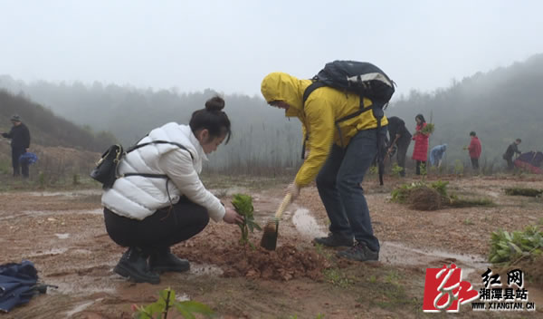 Still0007.jpg Still0007.jpg