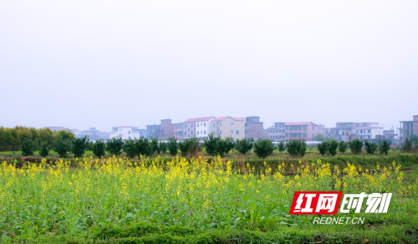 蓝山：烟雨山乡如画卷