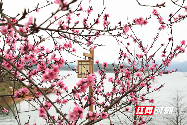 ???????????_??.jpg ???????????_??.jpg