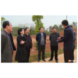 为东山镇佛寺村“把脉问诊”　推进人居环境整治示范村建设