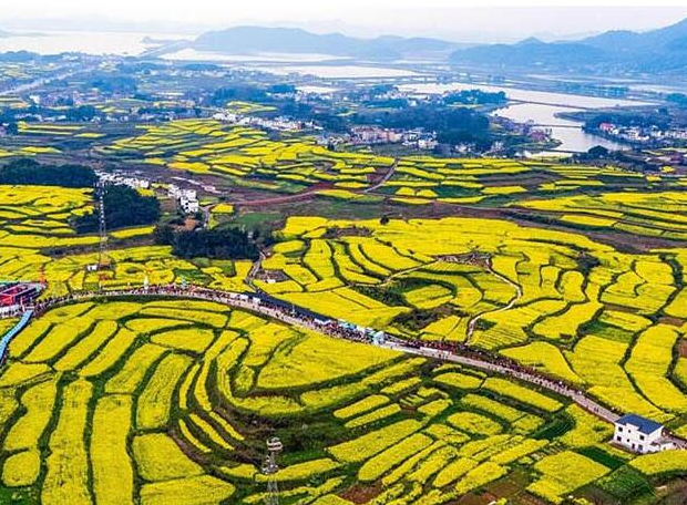 今年100个农村产业融合发展示范园开建，这些政策福利你不能不知道