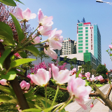 满园春色关不住 一步一景入画来（组图）