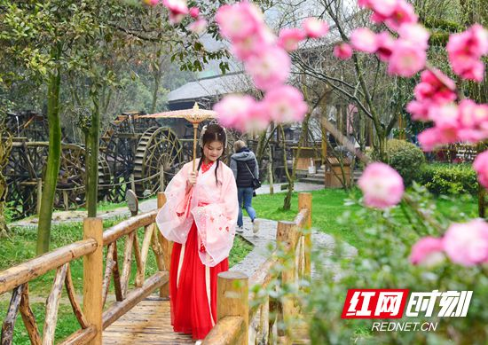 三月赏花季 汉服少女“扮靓”黄龙洞景区
