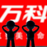万科2018年销售额6069.5亿 今年将巩固提升基本盘
