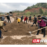 惠民生聚人心 党员修便民路引称赞