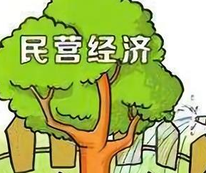 张云泉：提升民营企业竞争力要抓好五个关键点