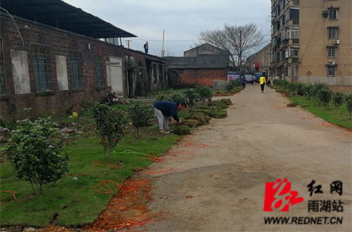 图片5.jpg 图片5.jpg