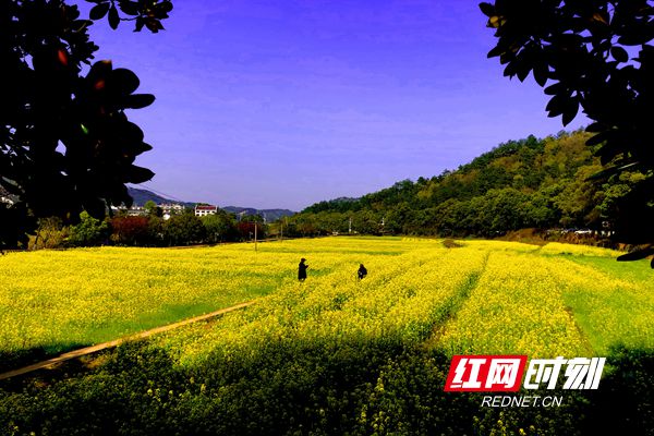 微信图片_20190326193910_副本.jpg