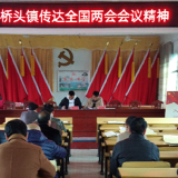 道县桥头镇掀起学习全国“两会”精神热潮