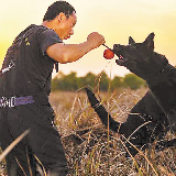 长沙出现宠物学校 让狗狗更有“教养”