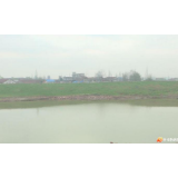 李为巡查华容河
