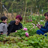 红图|桂阳石漠山成赏花园