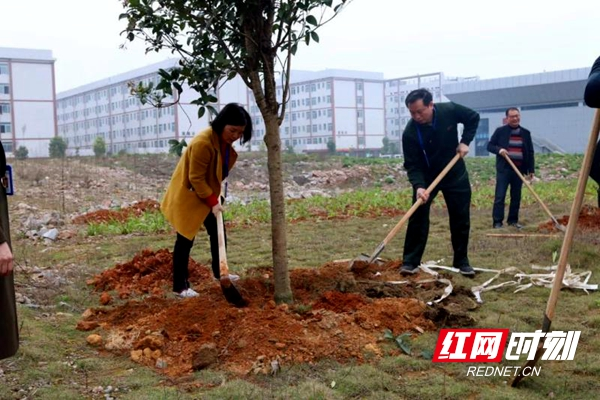 邵阳职院开展植树绿化活动 助力建设绿色文明校园