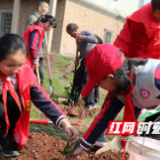 石鼓区：文明花开满眼春 “衡阳群众”别样红