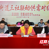 53个项目签约 “三社联动”成社区治理新魔方