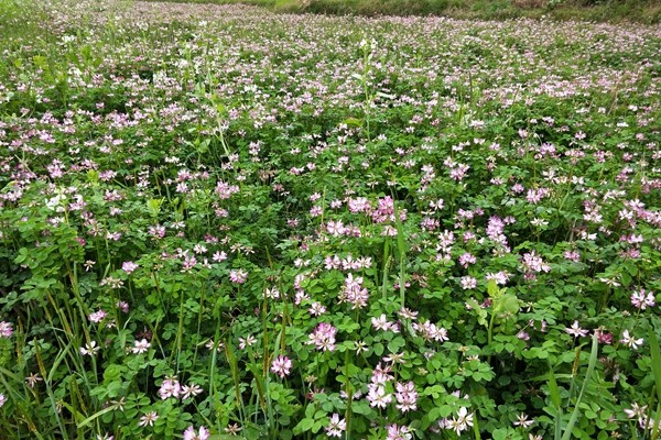 IMG20190326162933_副本.jpg