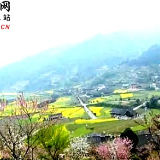 散文 | 奉家镇古桃花源里桃花艳