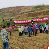 泸溪公安驻村辅警进田间地头宣传扫黑除恶