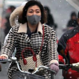 北京延庆区出现降雪