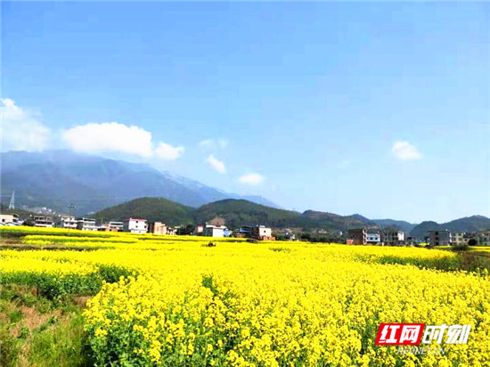 微信图片_20190327213715_副本1.jpg