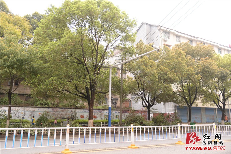 我县新增一处车辆不礼让行人抓拍点